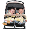 Twin Questions