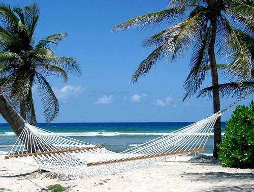 hammock Pictures, Images and Photos