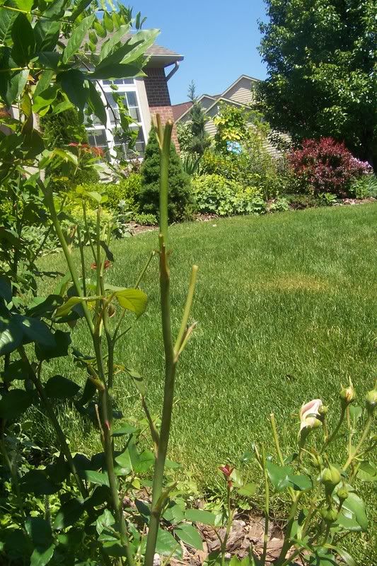 Photo Sharing and Video Hosting at Photobucket