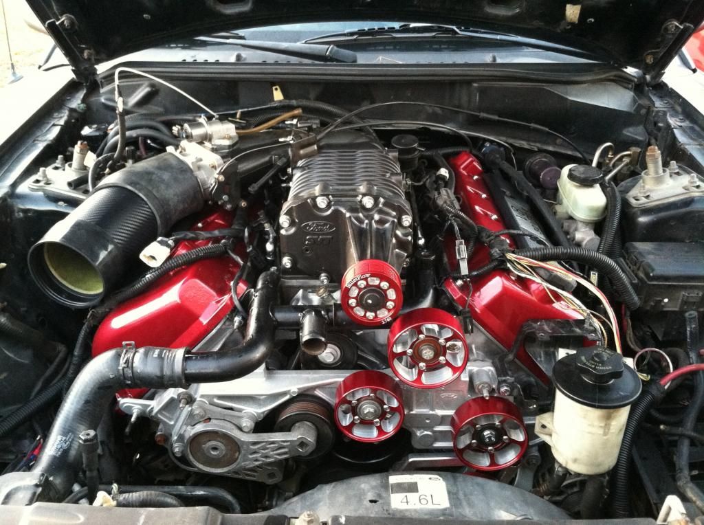 03/04 cobra engine swap into 96-98 cobra - Ford Mustang Forums : Corral