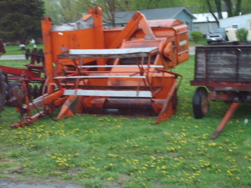 Community Sale Saterday - Homesteading Questions