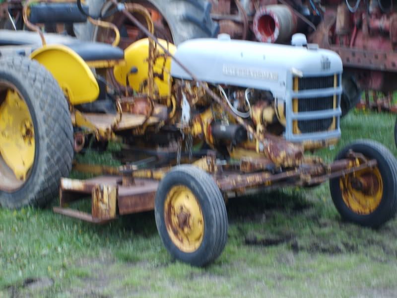 Community Sale Saterday - Homesteading Questions