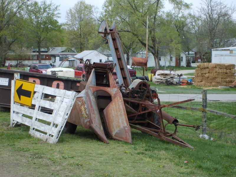 Community Sale Saterday - Homesteading Questions