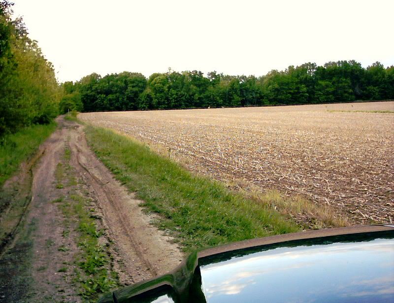 Im Parked on the Trespassers Clothes! - Homesteading Questions