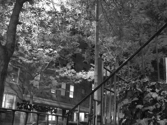 stoop on E. 3rd Street, NYC