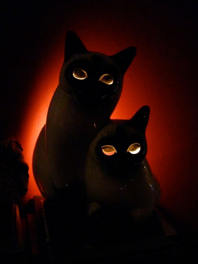cat candles