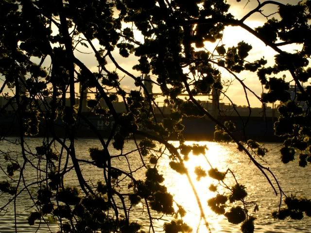 Hudson River sunset, spring