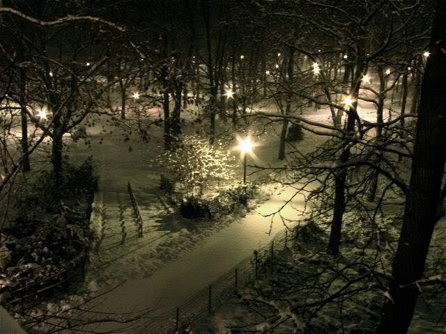 Snow in riverside park, night