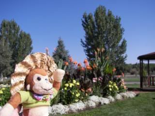 http://i147.photobucket.com/albums/r285/wourpet/100_1879.jpg