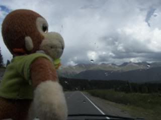 http://i147.photobucket.com/albums/r285/wourpet/Travel%20Toys/100_1857.jpg