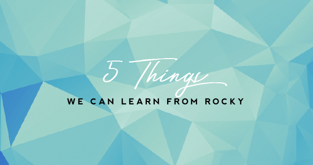 5 Things To Learn From Rocky