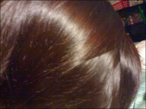 medium brown hair with red tint. Medium Brown and Red.