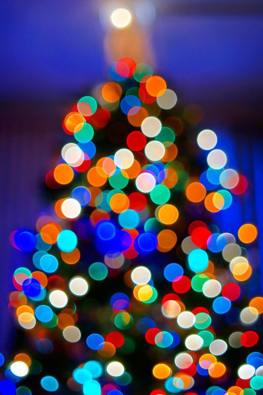 Bokeh Tree Pictures, Images and Photos