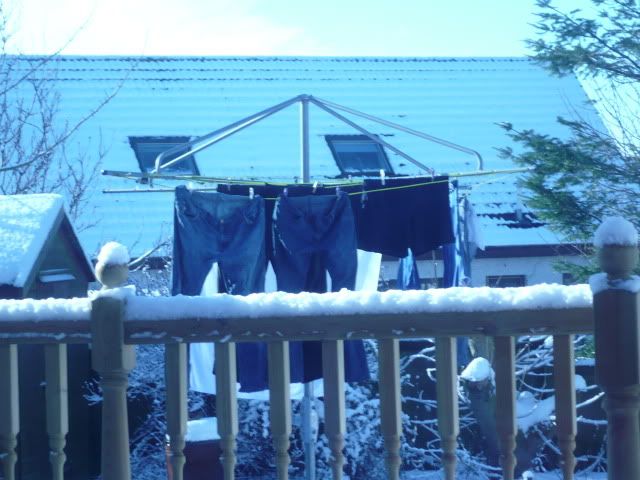 Picture078.jpg