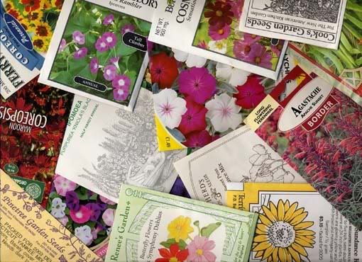 various seed packets