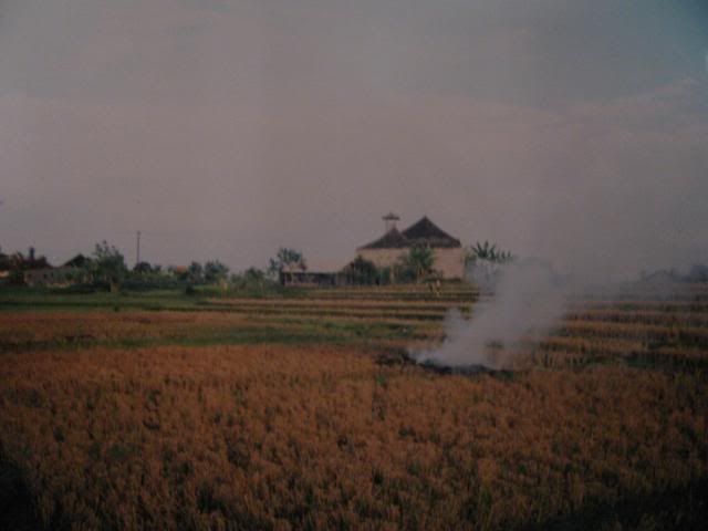 Bali045.jpg