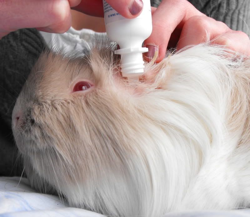 301 Moved Permanently