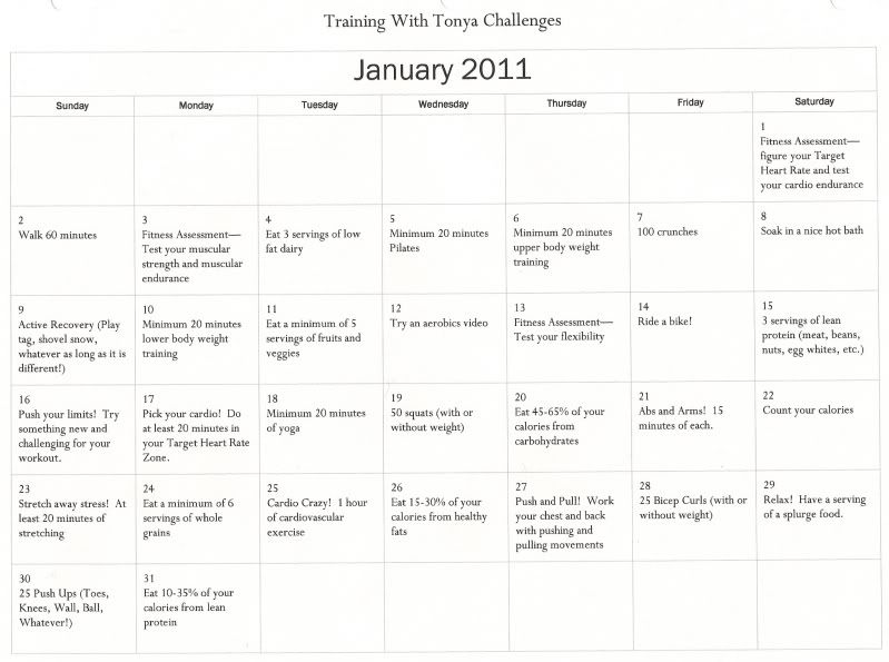 January2011Challenge.jpg