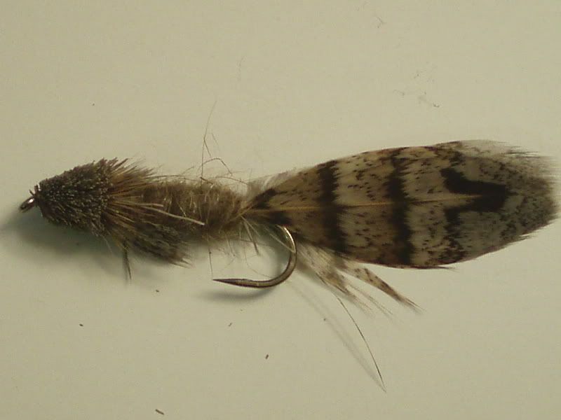 LKsculpin.jpg