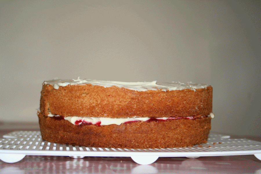 sponge.gif