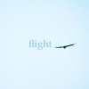 flight.png