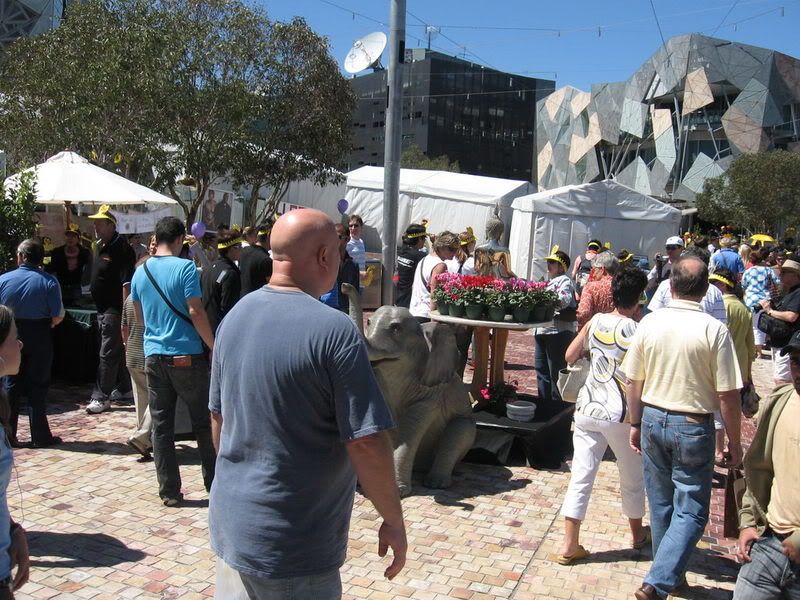 2008-03-0202.jpg