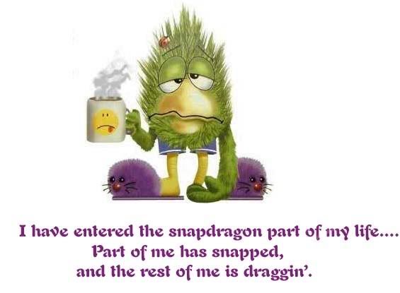 ASnapdragon.jpg