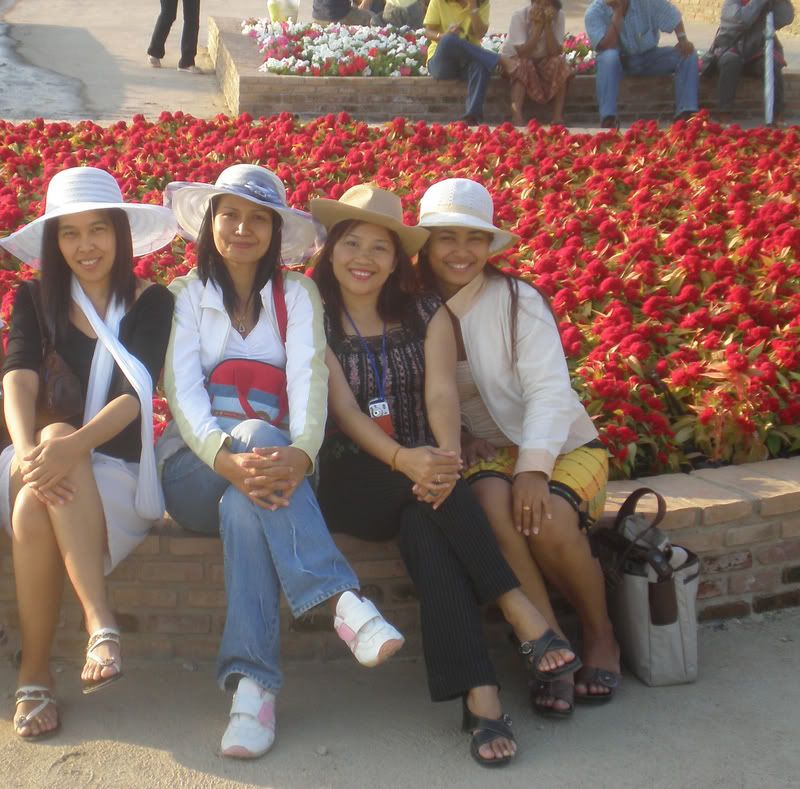 CM11.jpg