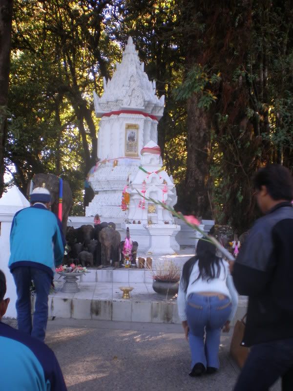 P1090179.jpg