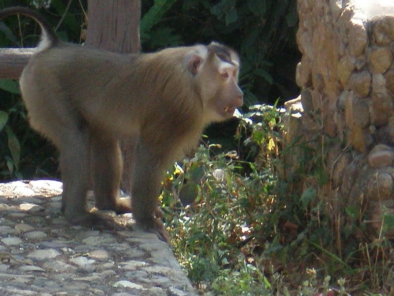PC270065.jpg