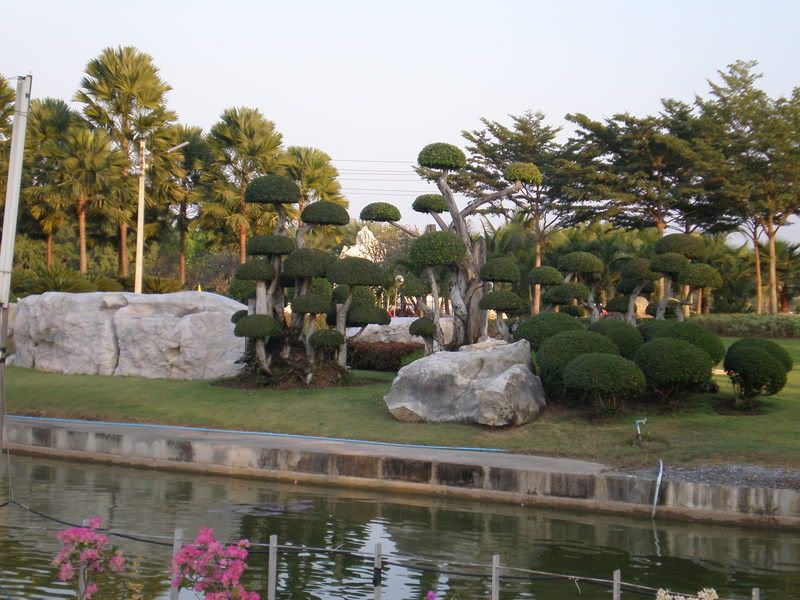 PC270093.jpg