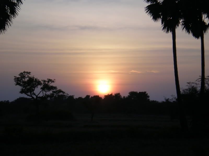 PC310126.jpg
