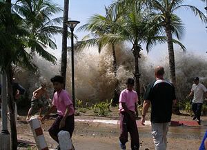 300px-2004-tsunami.jpg