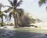 small_1167203448.nv.jpg