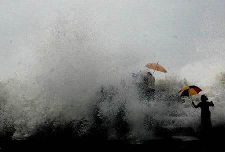 tsunami-fake-3.jpg