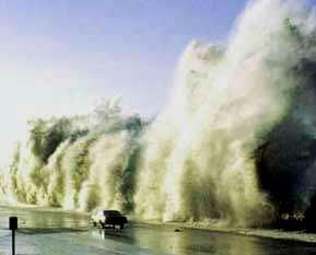 tsunami-fake-4.jpg