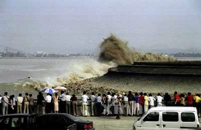 tsunami-fake-7.jpg