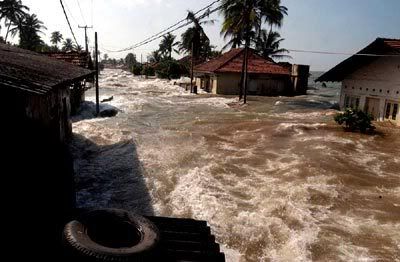 tsunami-houses.jpg