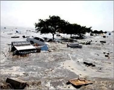 tsunami0.jpg