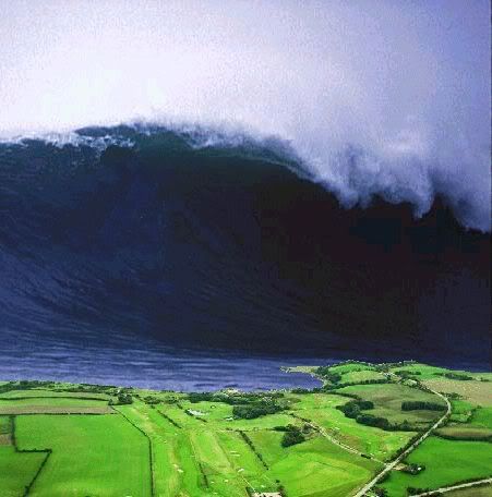 tsunami_land.jpg
