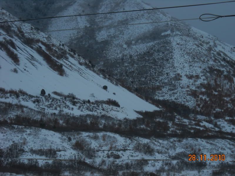 Central Mountians Northwest Nebo Trophy cow elk tags!!