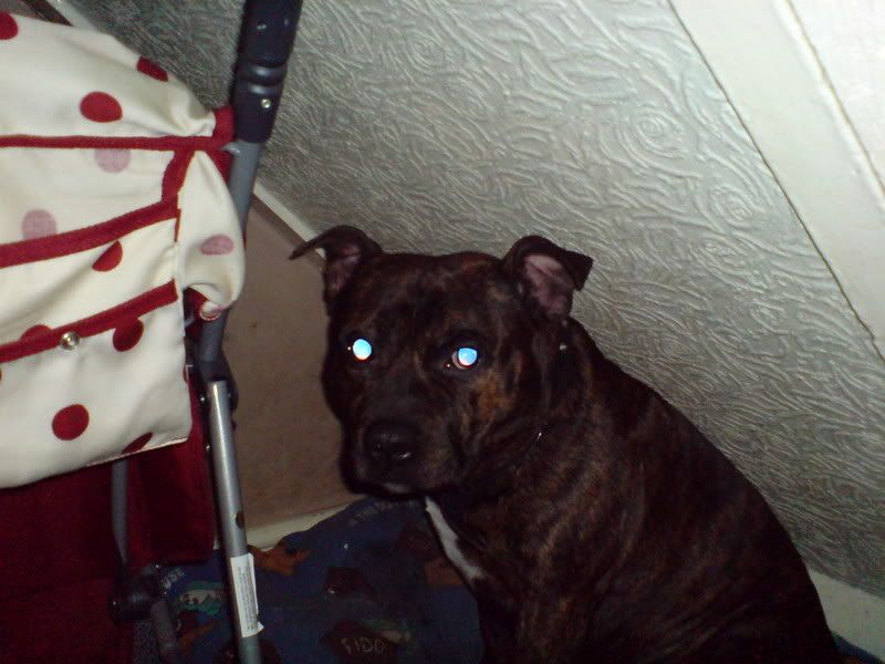DSC00044.jpg