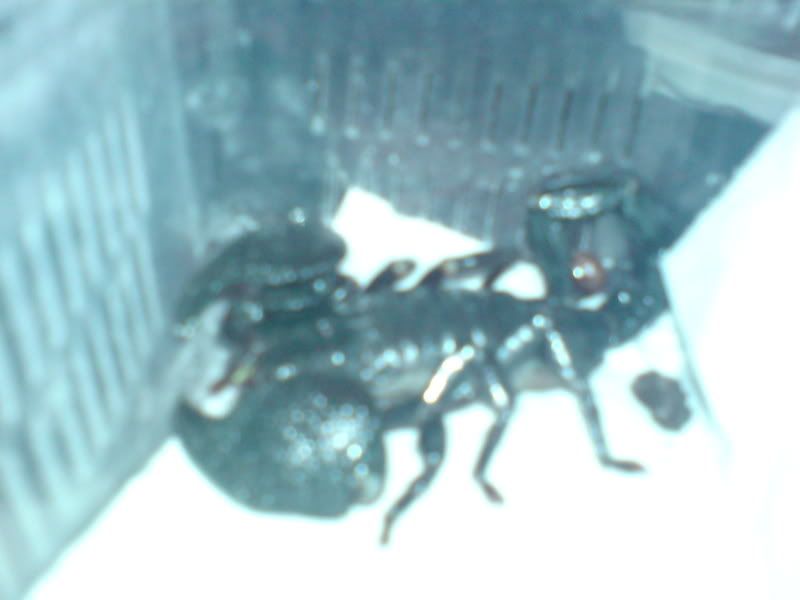 DSC00199.jpg