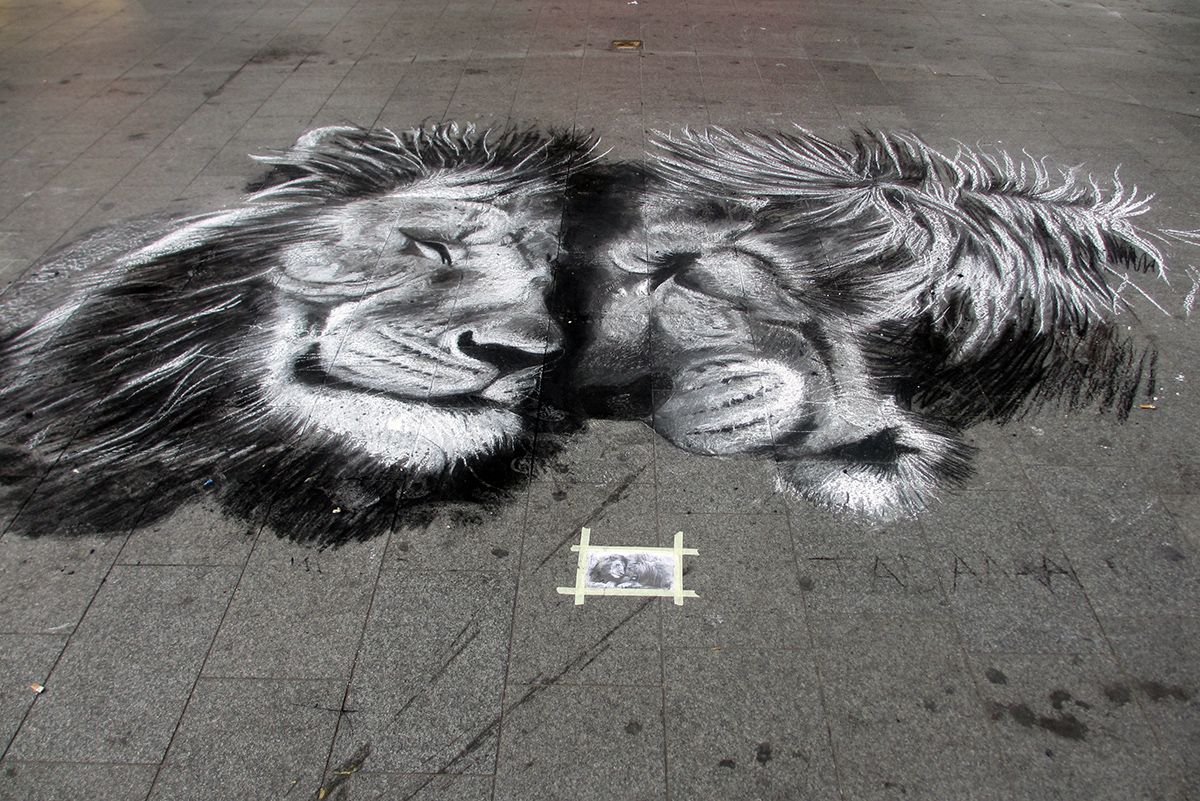  photo Antwerpen-street-art-lions2_zps2c285442.jpg