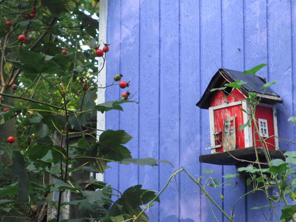  photo Christiania-copenhagen-birdhouse_zps5799aabc.jpg