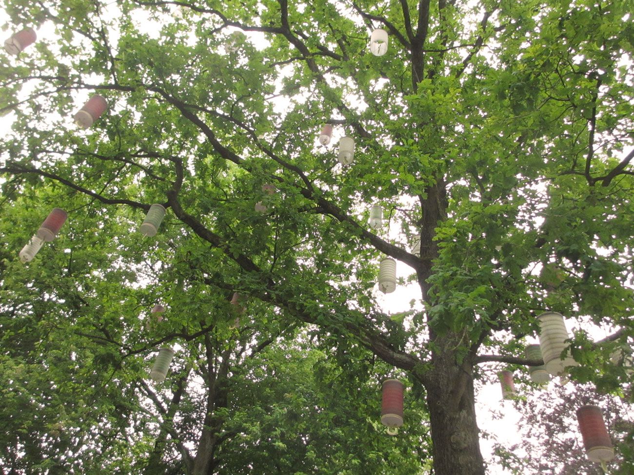  photo Efteling-tree-lanterns_zps5ee8031b.jpg