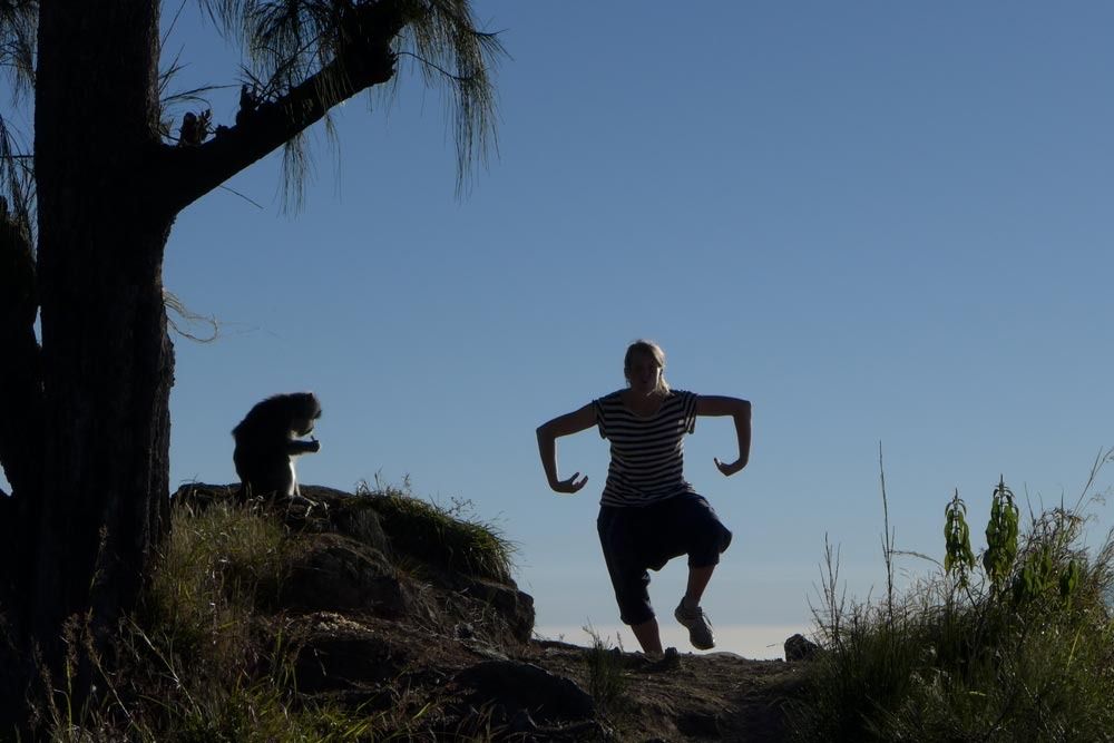  photo Lombok-Rinjani-trek-3-monkey_zpsfbpu8iti.jpg