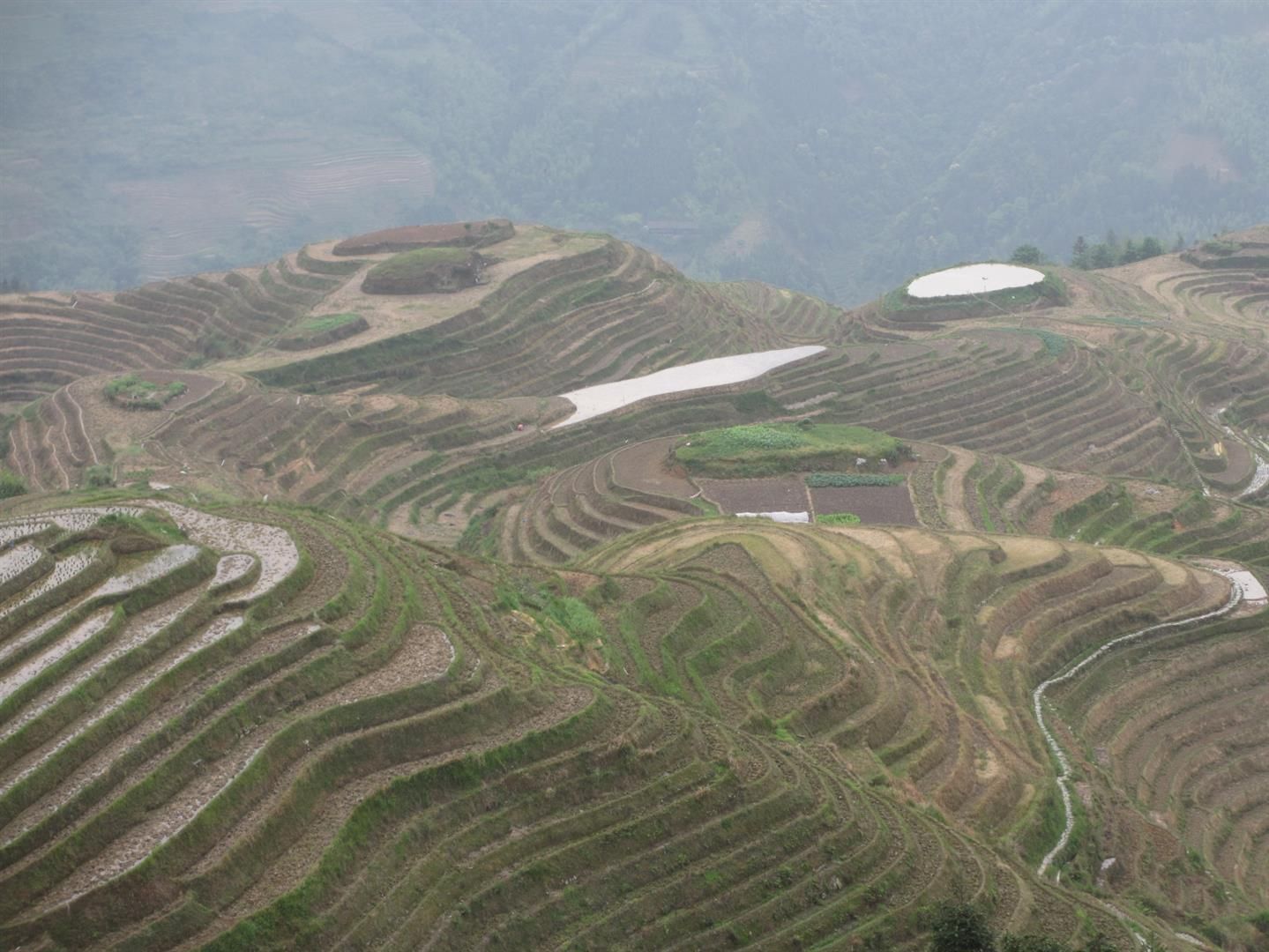  photo Longji-Terraces_zpshjmtate6.jpg