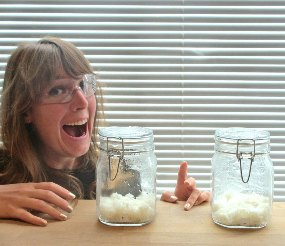  photo Rice-jar-experiment-mad-scientist_zps8ng5bpja.jpg