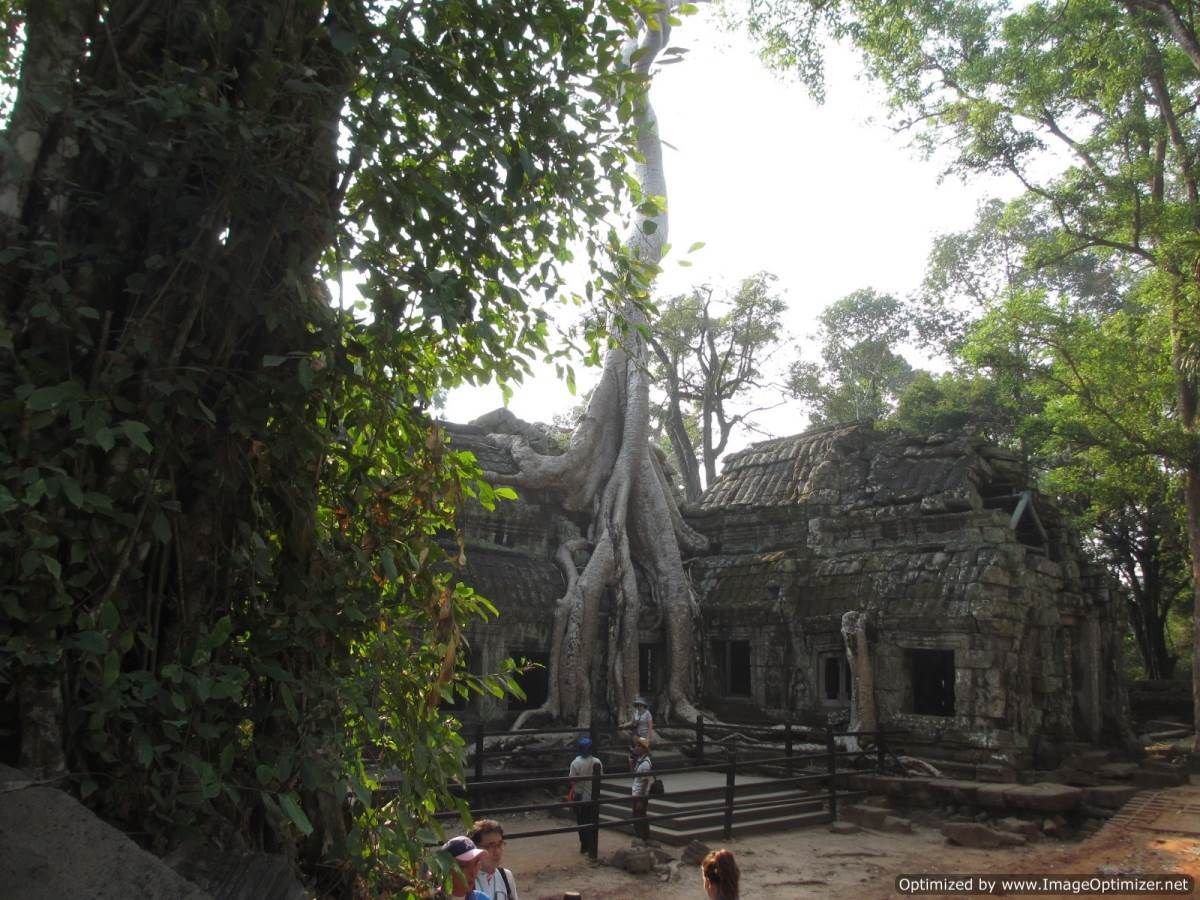  photo Ta-Prohm-Siem-Reap_zpsfeovn3ny.jpg